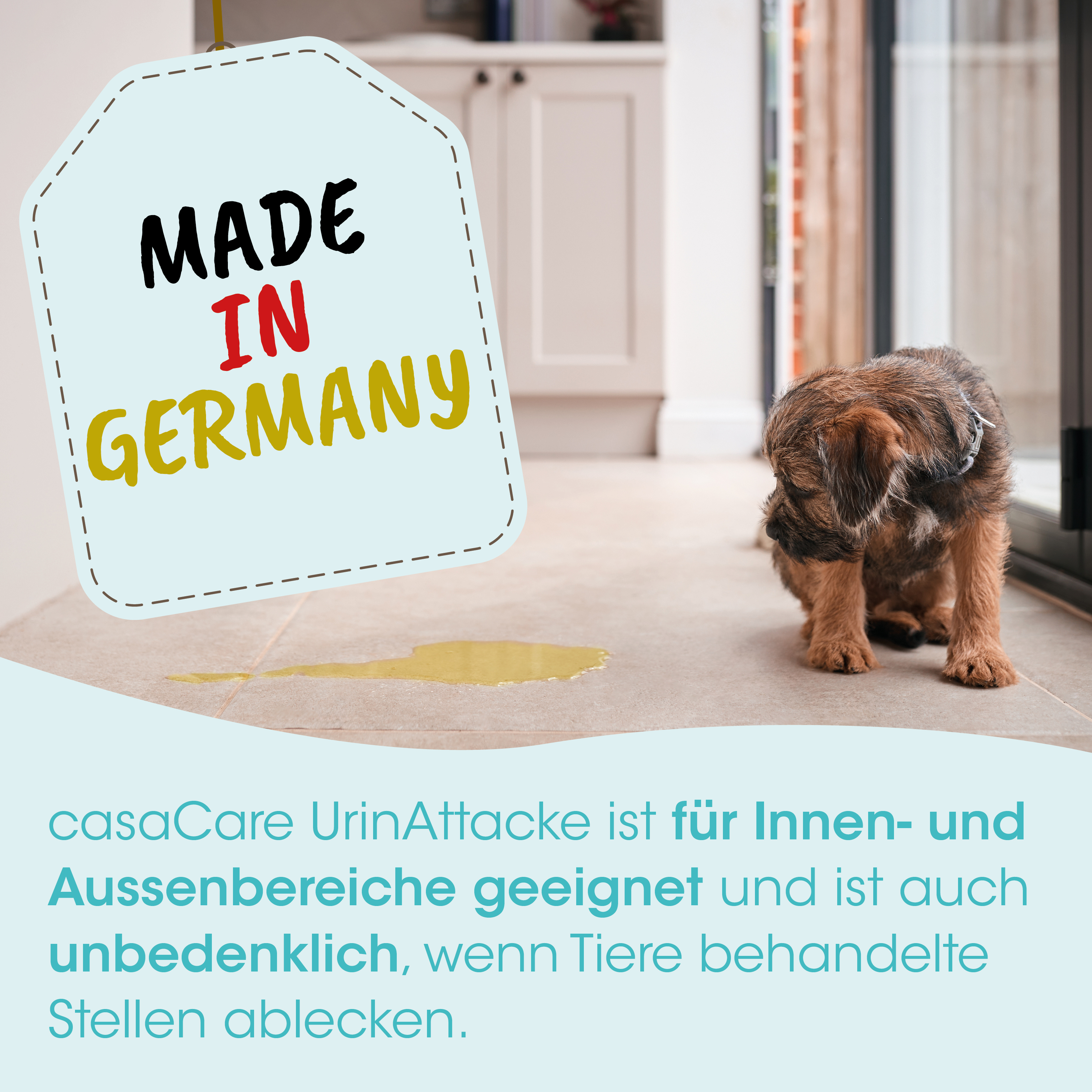 Hund, Tierarzt, Katzentoilette, Haustier, Gummimatte