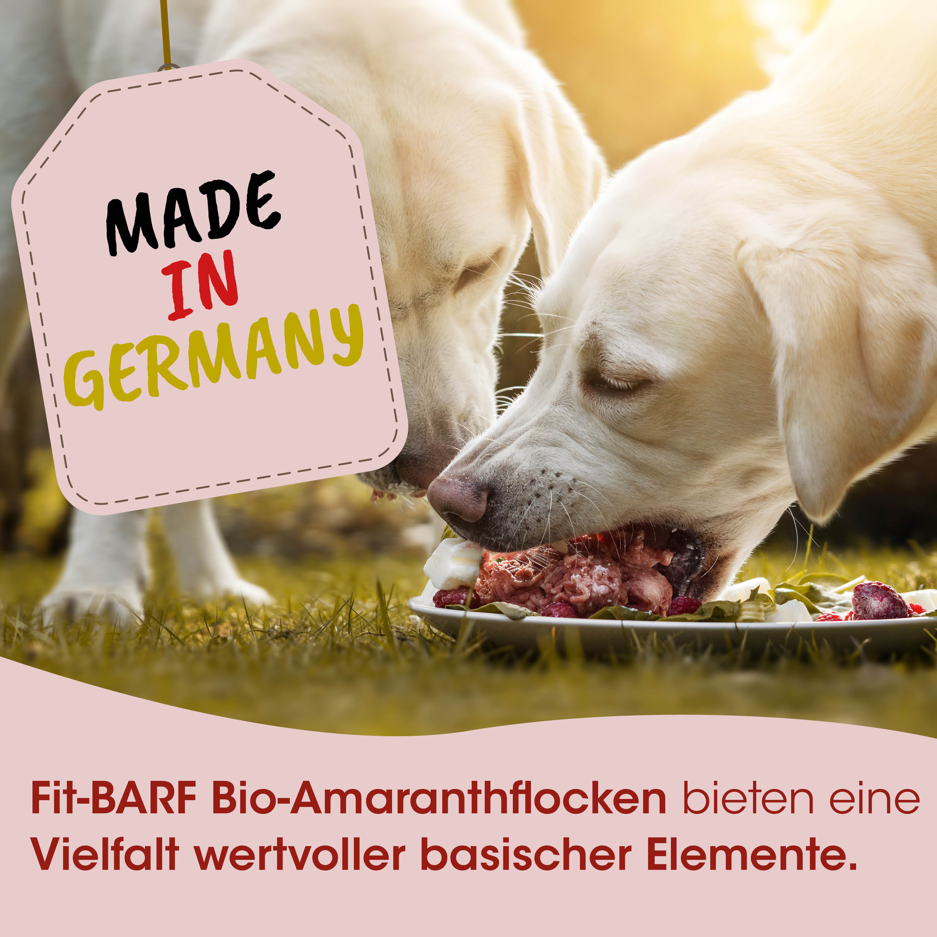 Hund, Hundefutter, Amaranthfalcken, Bio, Made in Germany