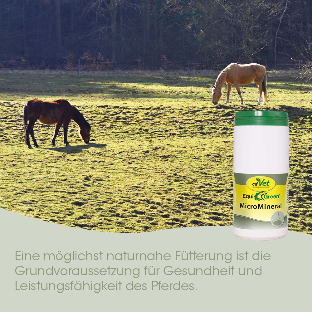 horse, pasture, supplement, äquine, mikromineral
