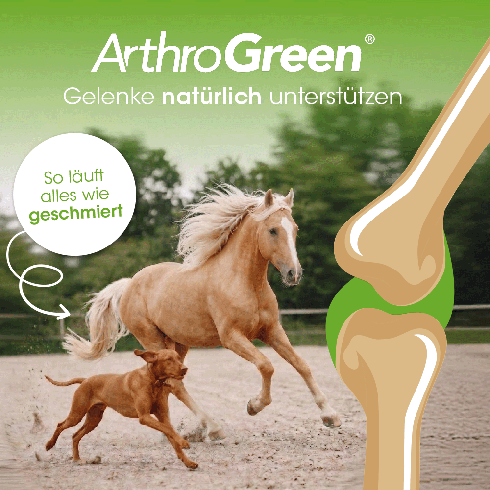 Pferd, Pferdelnatur, Gelenkunterstützung, Arthrose, Harmoniereiten