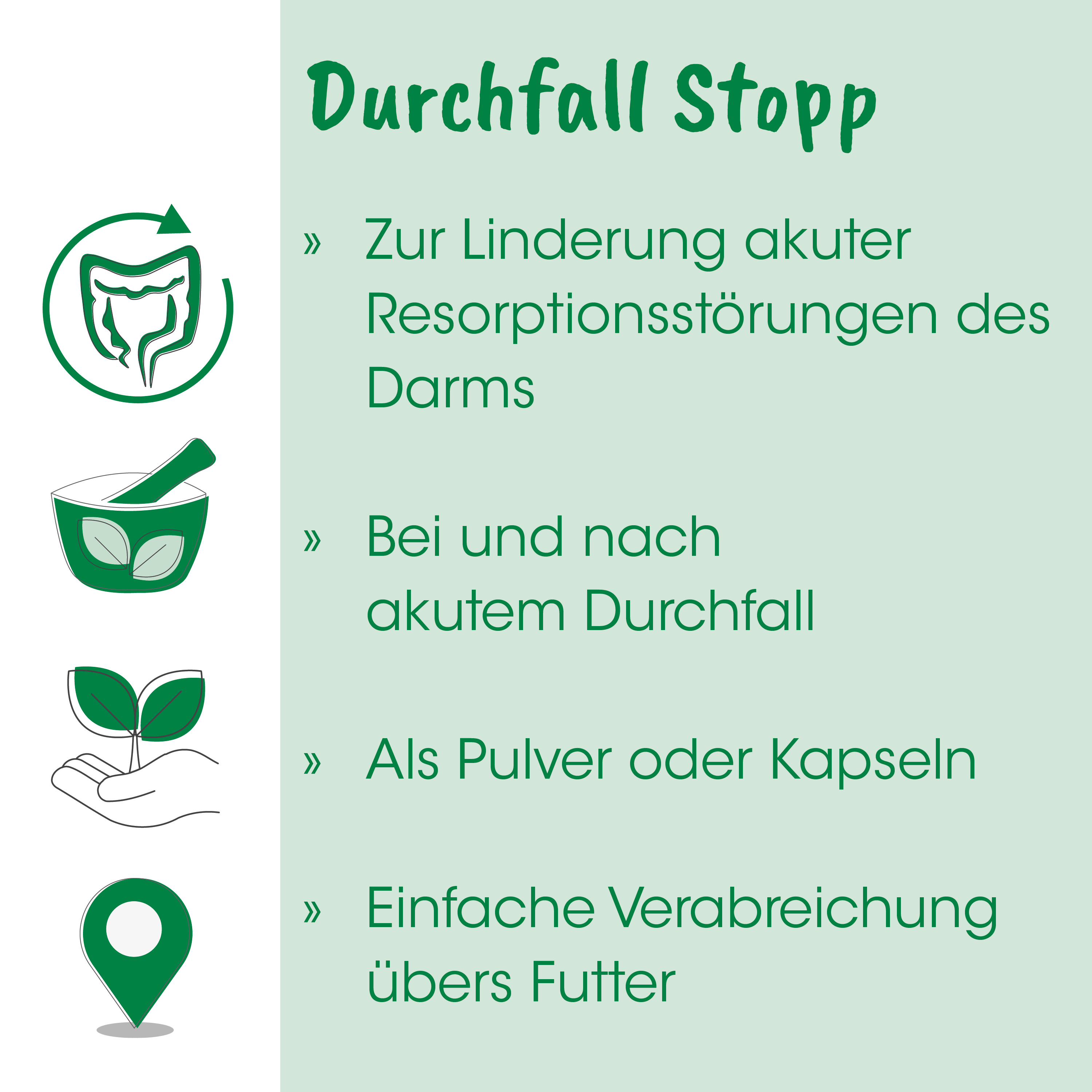 Durchfall Stopp, Naturheilmittel, Pulver, Kapseln, Kräuterwurzel