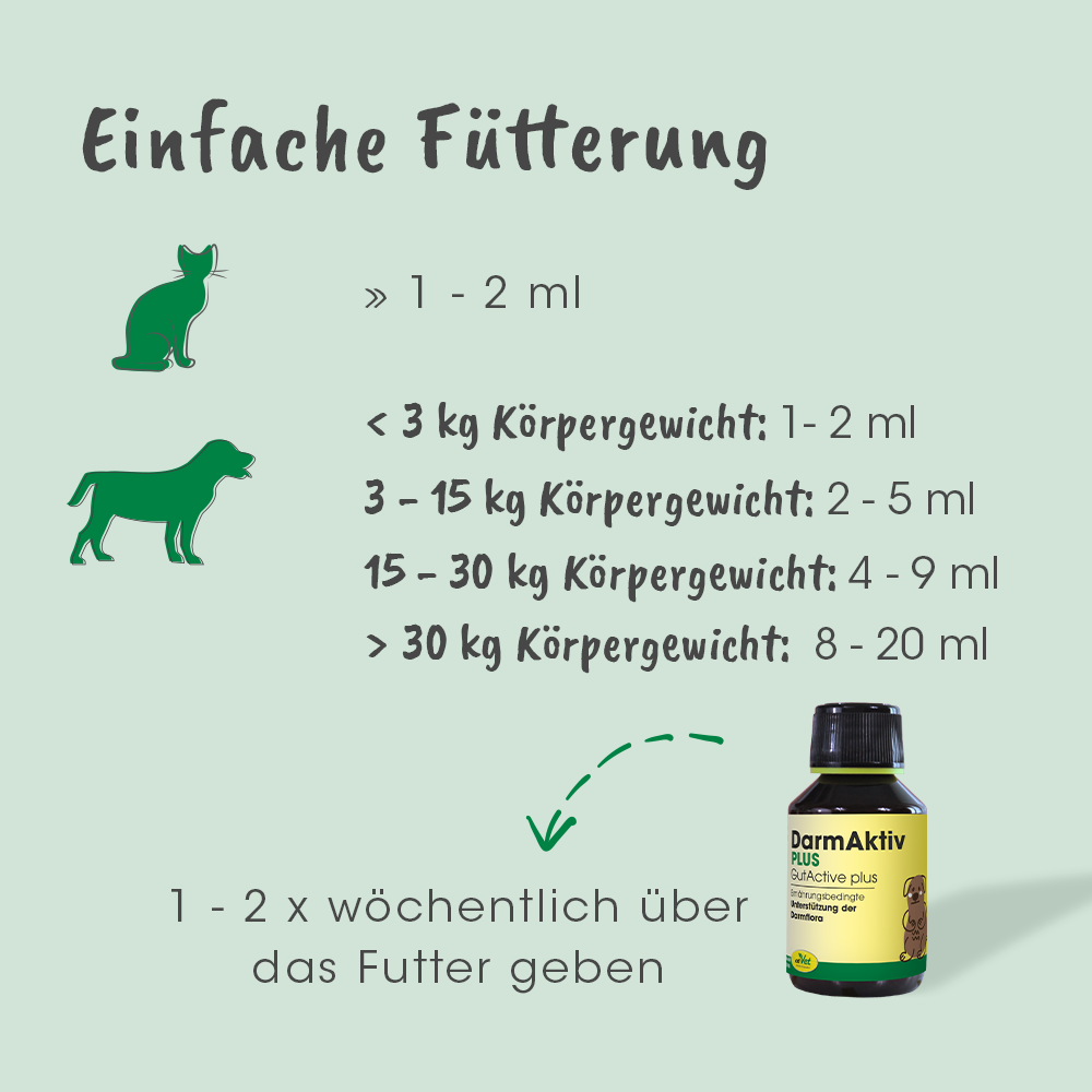 IntestinActif plus 1 L
