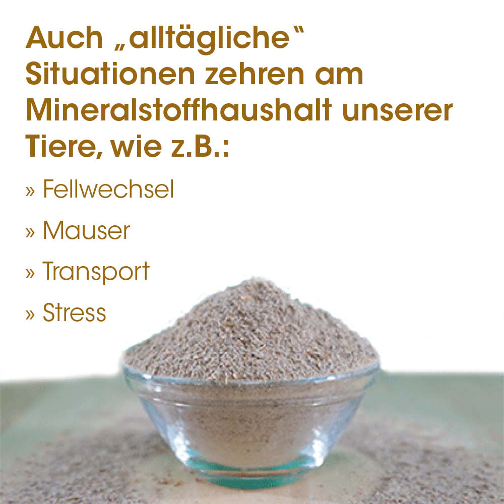 Mineralschutt, Schüttgut, Brauner Staub, Glasgefäß, Powder