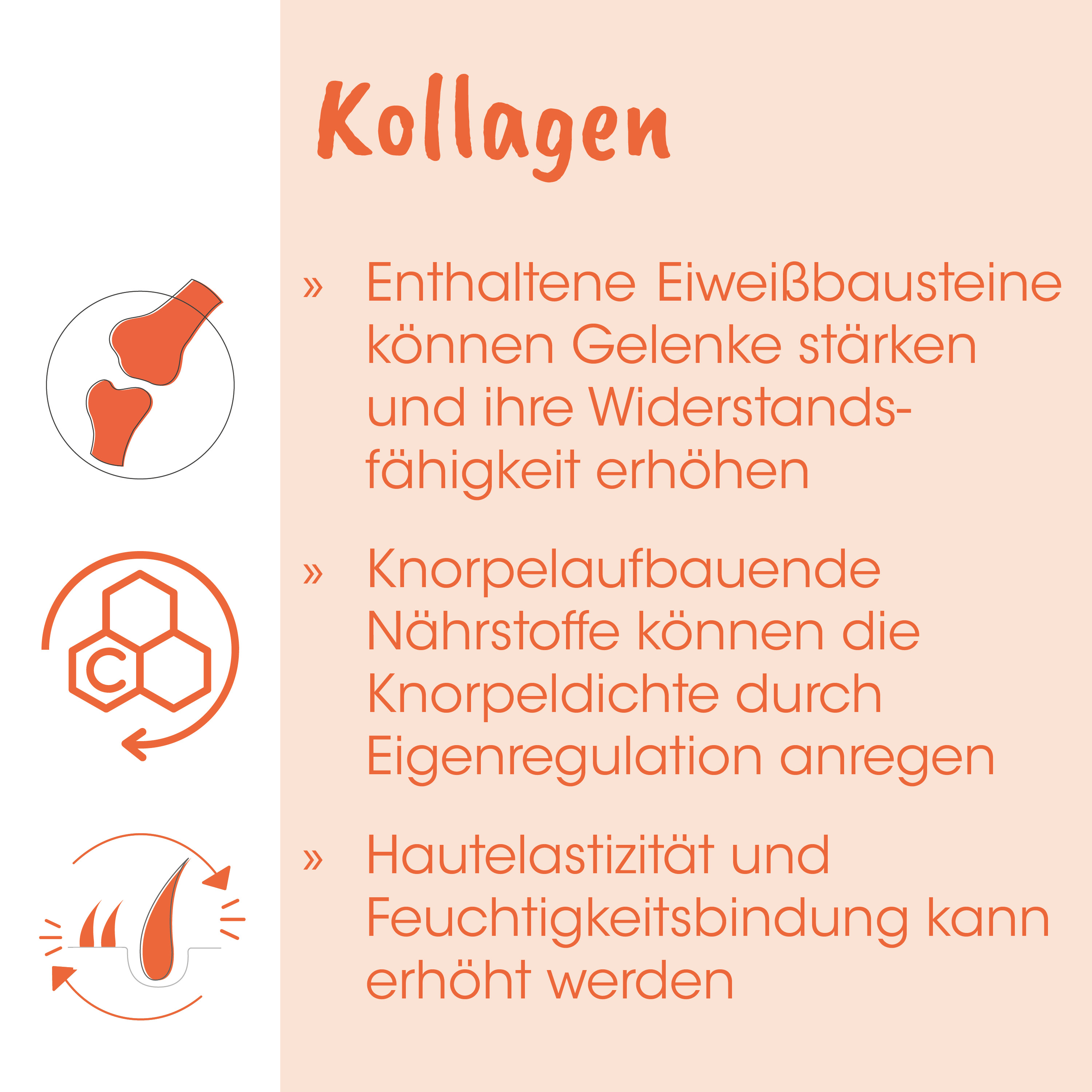 Kapselbild, Kollagen, Gelenkknorpel, Bioprodukt, Hautpflege