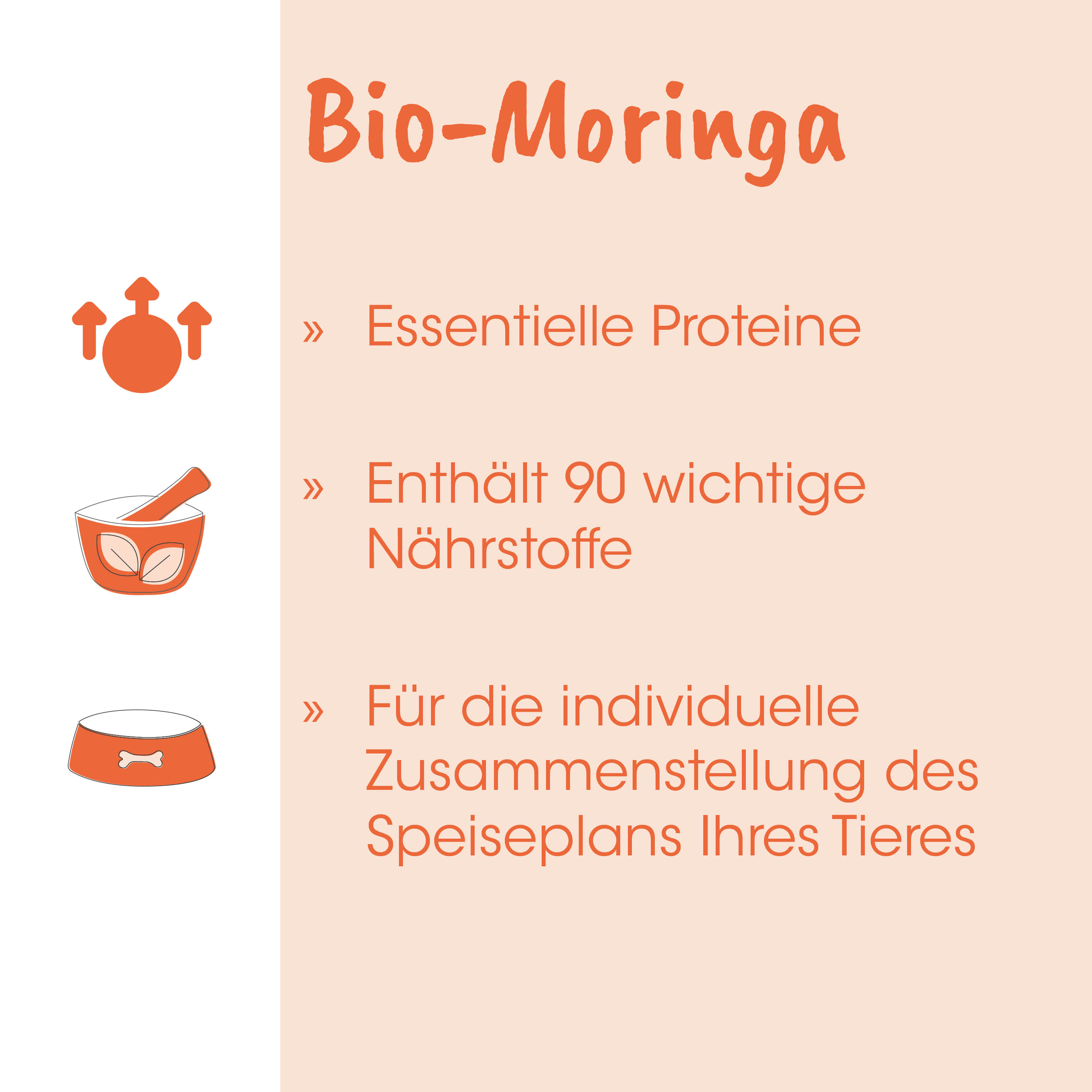 Bio-Moringa, Essentielle Proteine, Nährstoffe, Nahrungsergänzung, Tierfutter