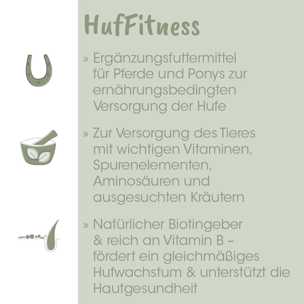 Hufeisen, Schüssel, Löffel, Pferde-Nahrung, Vitamine-Bio-Gehalt