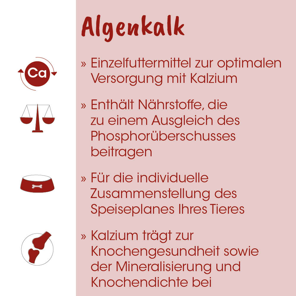 calcium, Ergänzungsfutter, Hundeernährung, Futternapf, Knochen-Icon