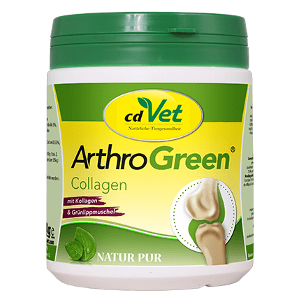 ArthroGreen Collagène 300 g