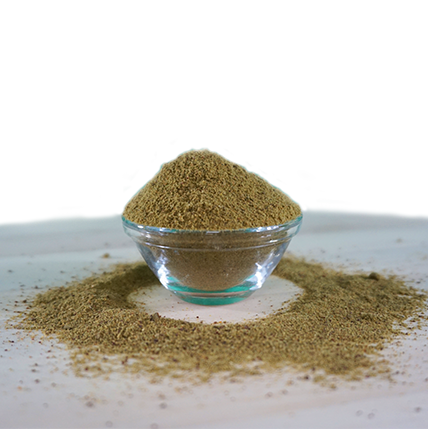 ArthroGreen Sport 700 g