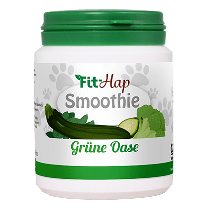 Fit-Hap Smoothie Oasis verte 120 g