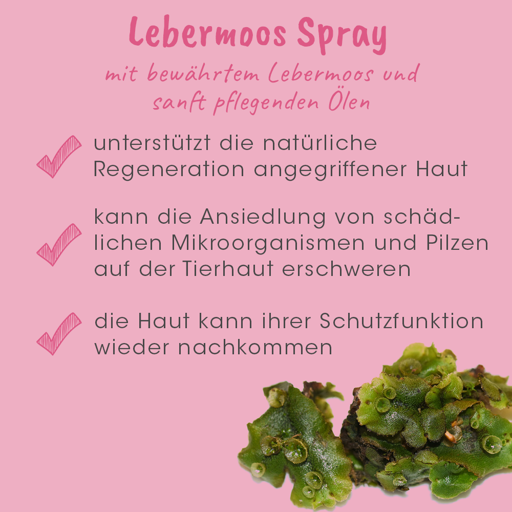 VeaVet Hépatique Spray 50 ml