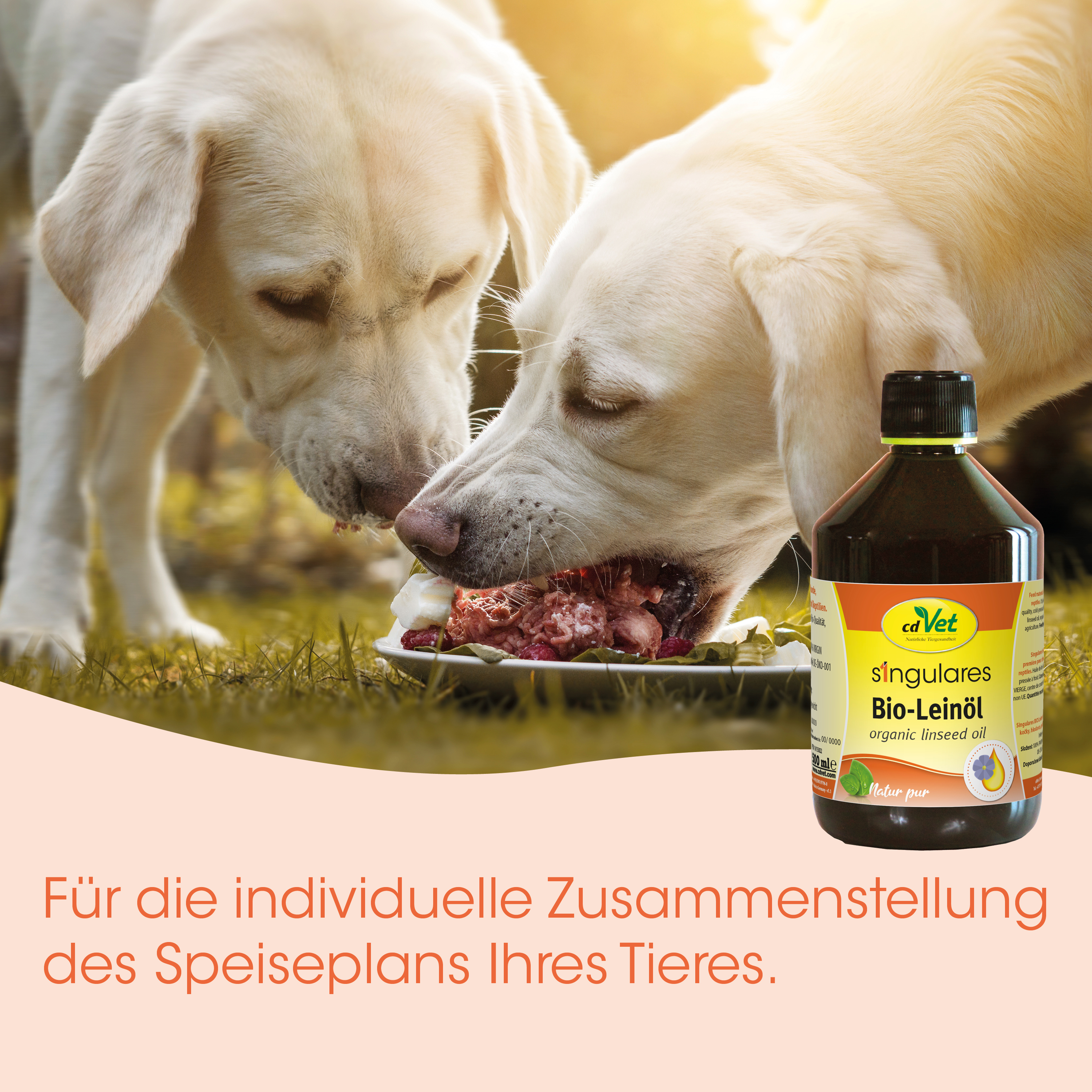 Hunde, Hundefutter, Bio-Leinöl, Ölflasche, Tierfutter