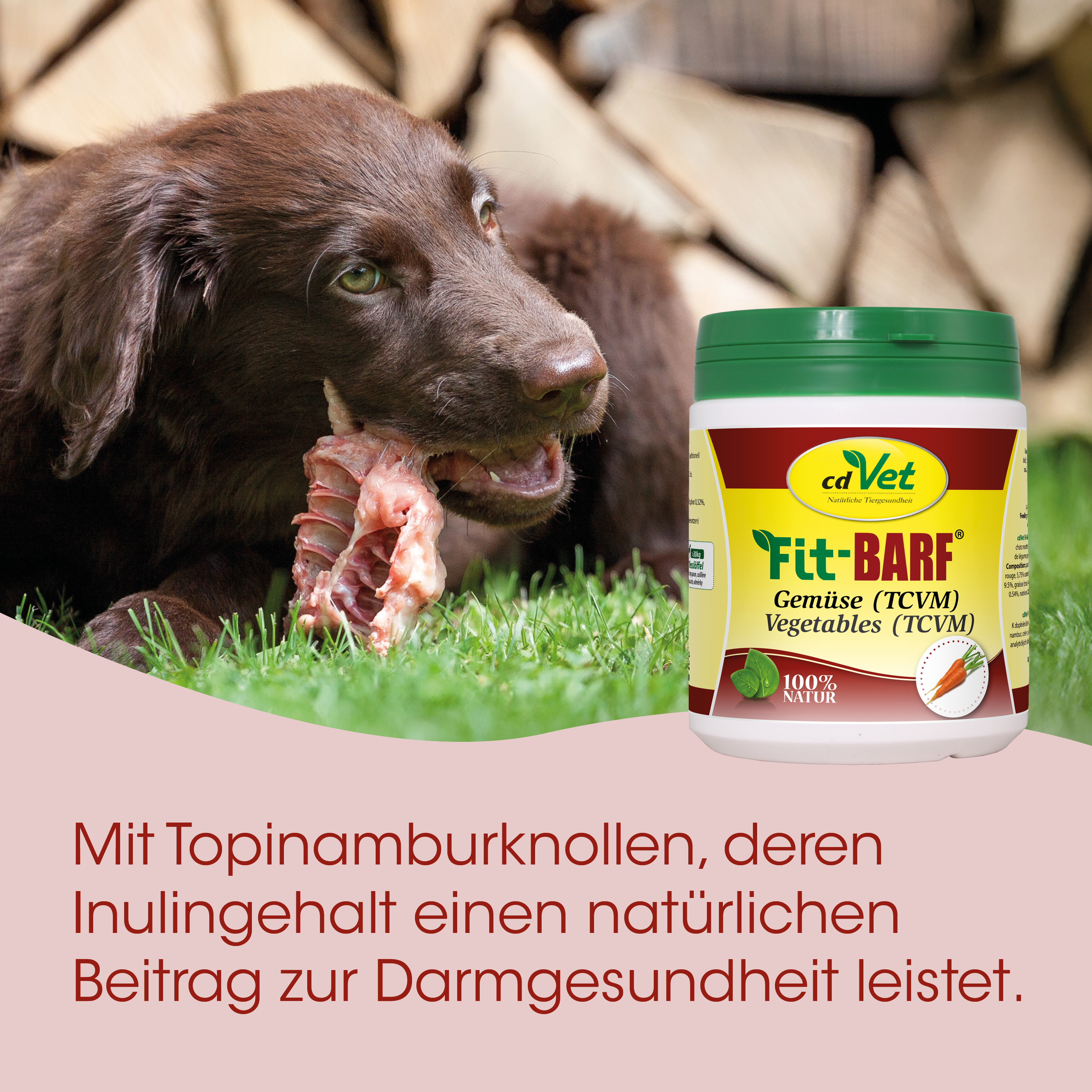Hundefutter, Vitaminreich, Gemüse, Topinambur, TCVM