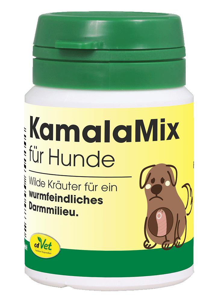Kräuterig, Kräuter, Pflanze