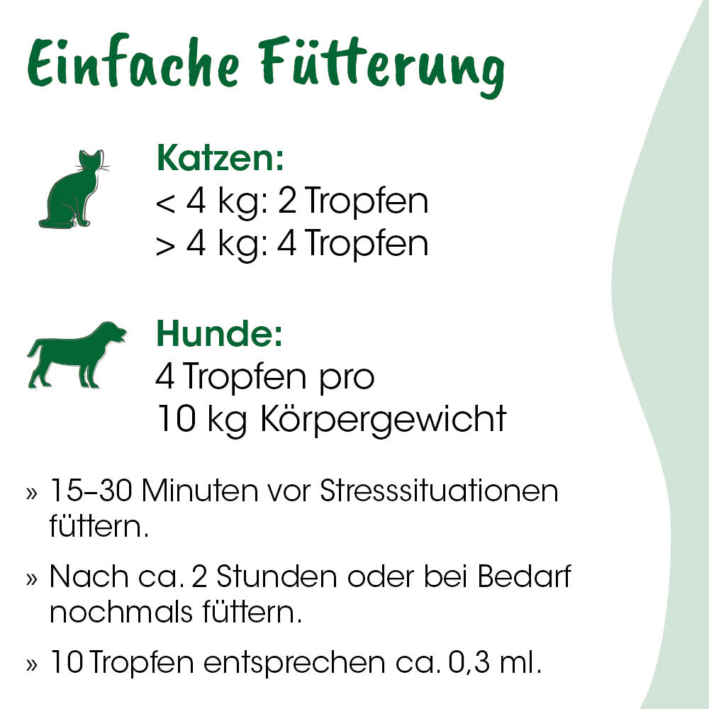 Katzenfutter, Tierfutter, Nassfutter, Katzenfutter-Guide, Futter-Aufbau