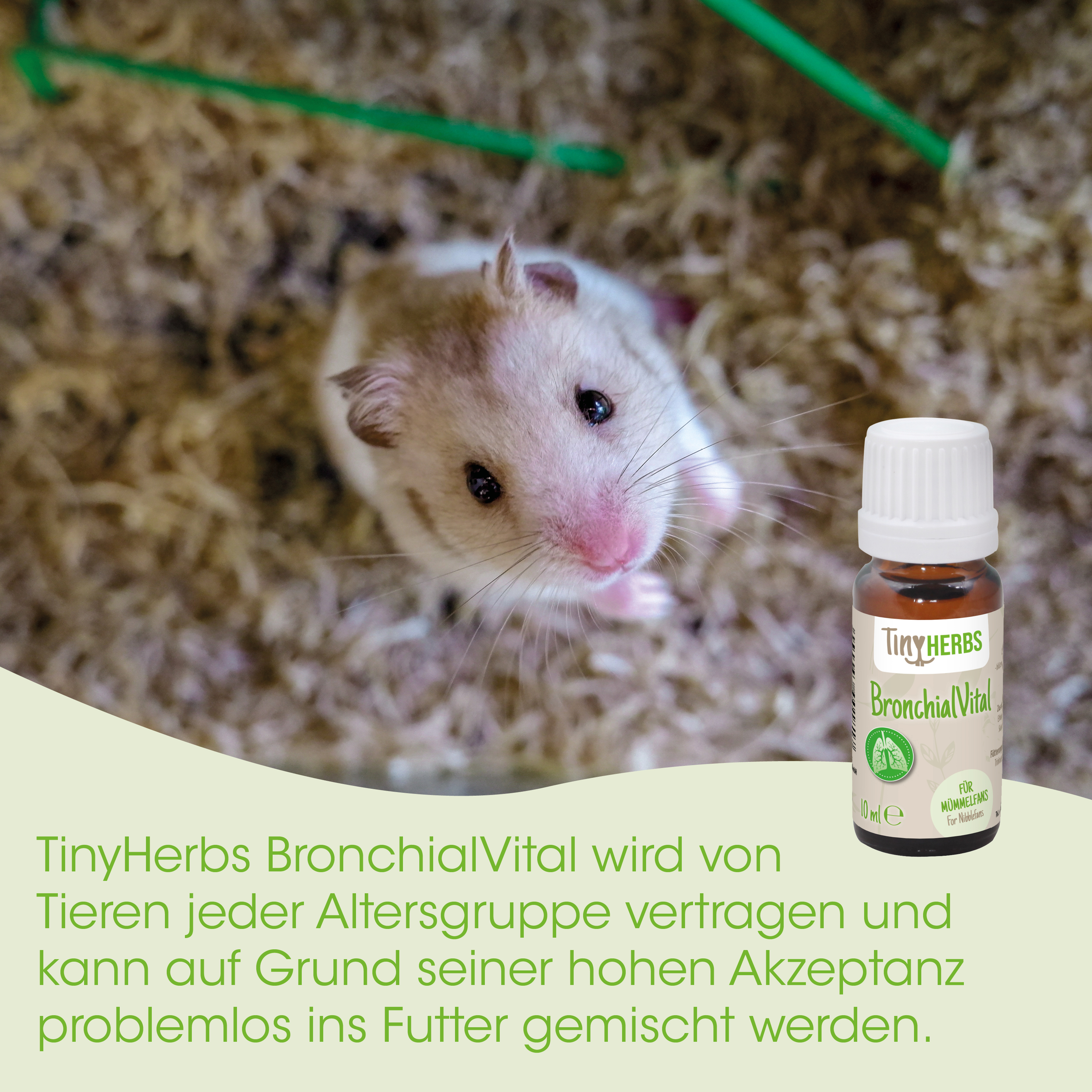 Hamster, Tierprodukt, BronchialVital, Tropfen, Flasche