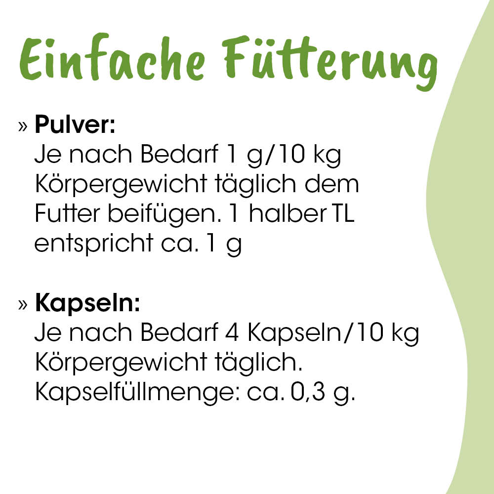 pulver, kapseln, fütterung, tierfutter, futtermenge
