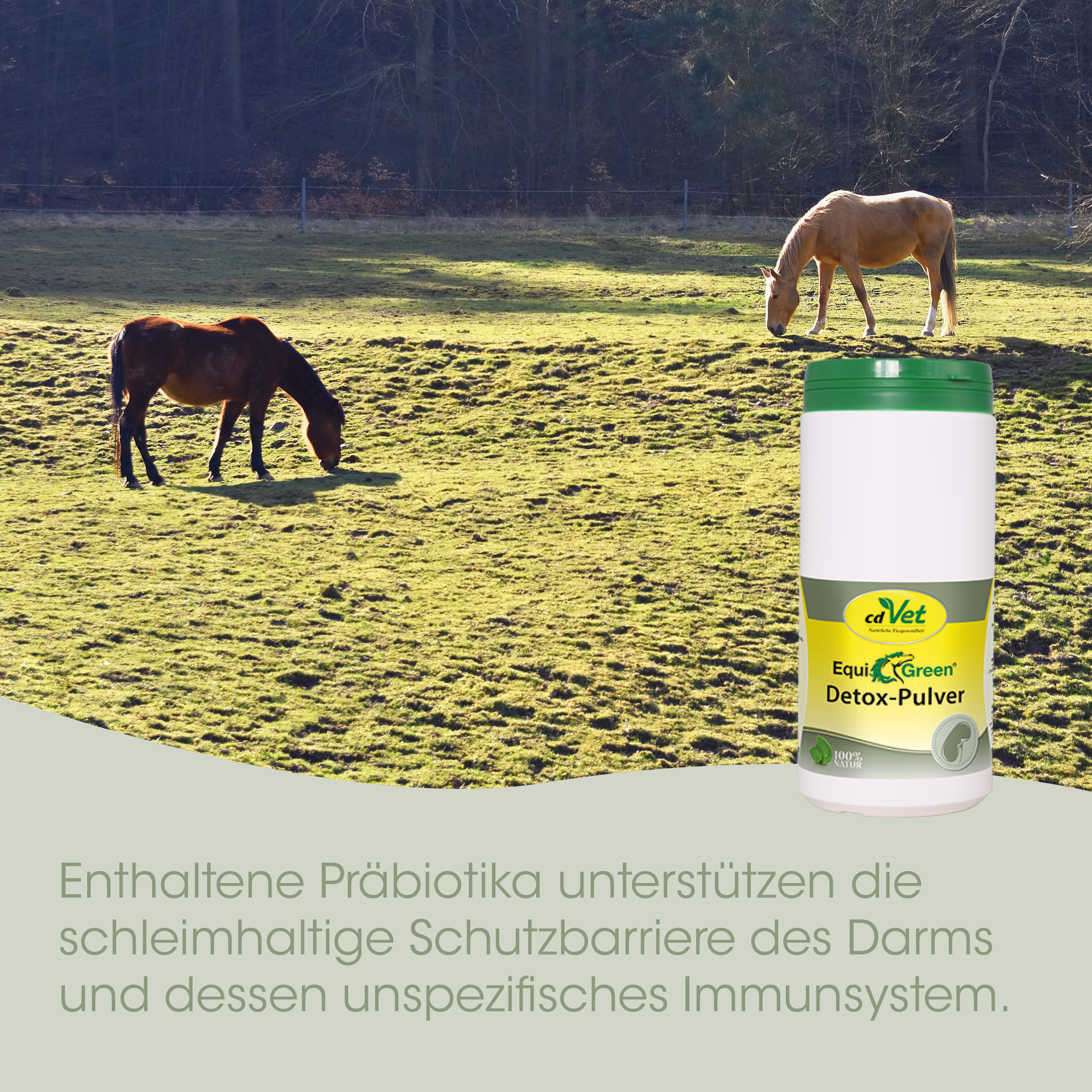 EquiGreen Poudre de Detox 2 kg