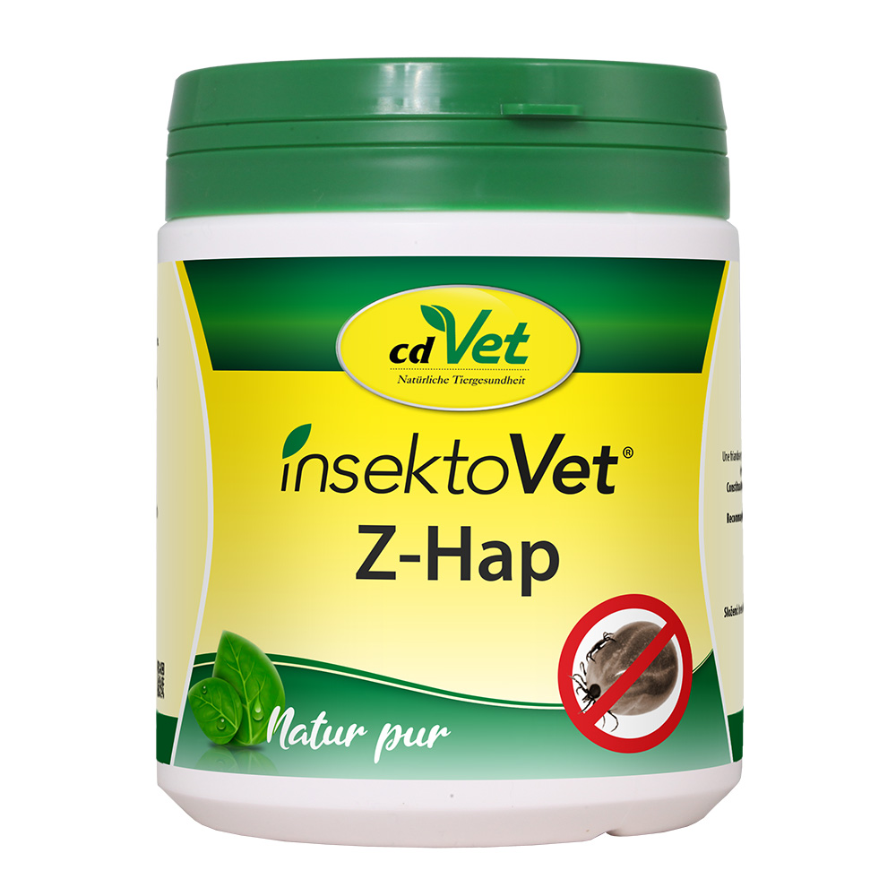 Kräuter, Pflanze