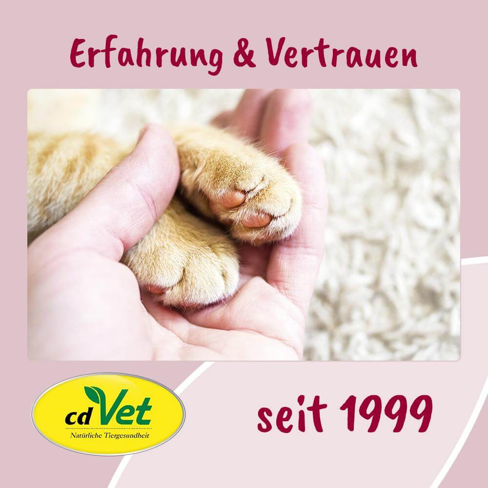 Katze Pfote, weiches Pfötchen, Pfoten, Tierpflege, Tierarzt-Logo
