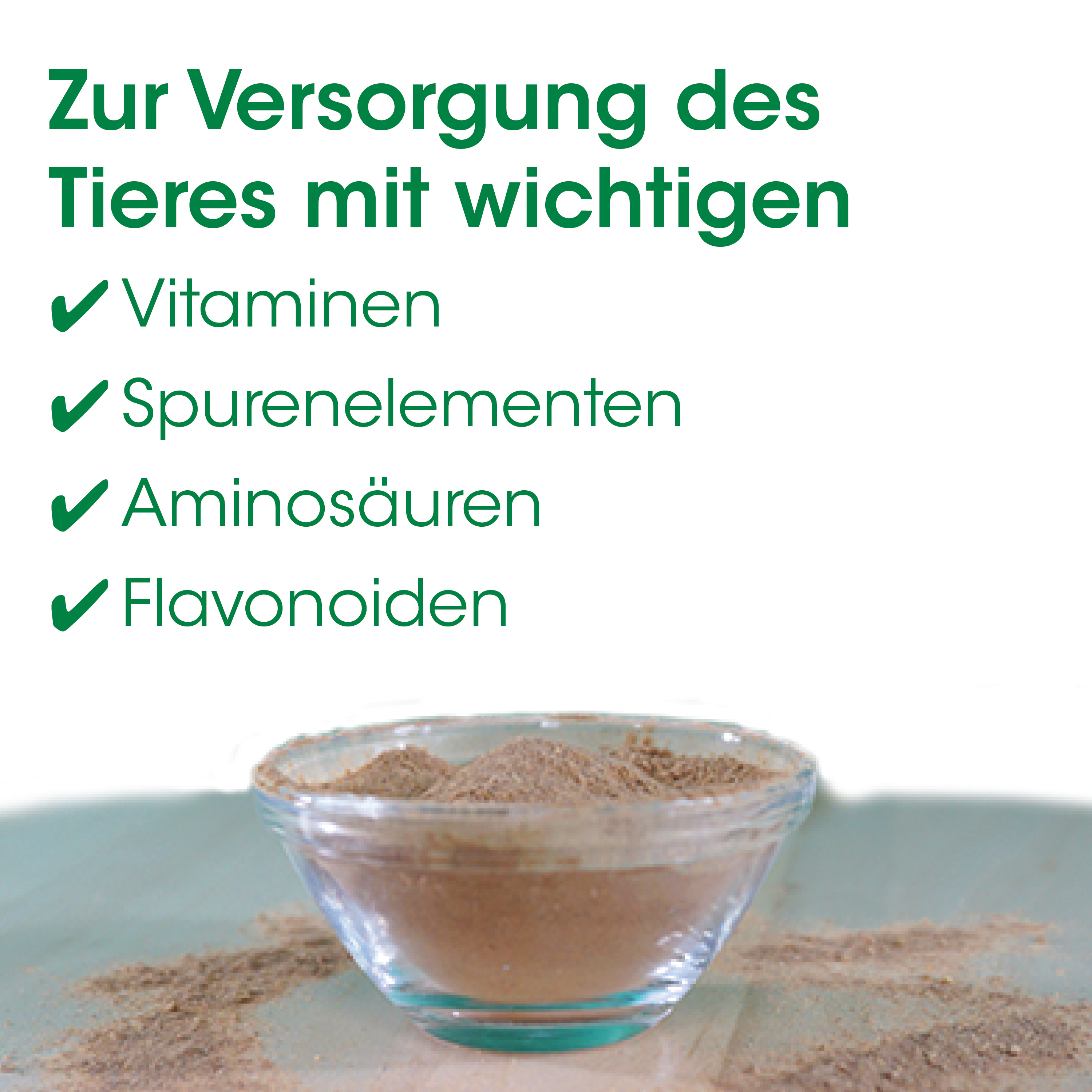 Kakaopulver, Kakaopulver fein, Gläserner messbecher, Nahrungsmittelpulver, Zutatenpulver