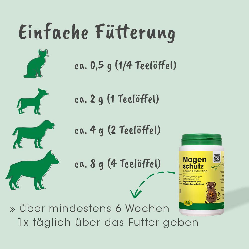 Protection Gastrique