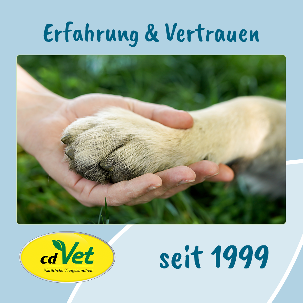 VeaVet PlaieEx Spray 100 ml
