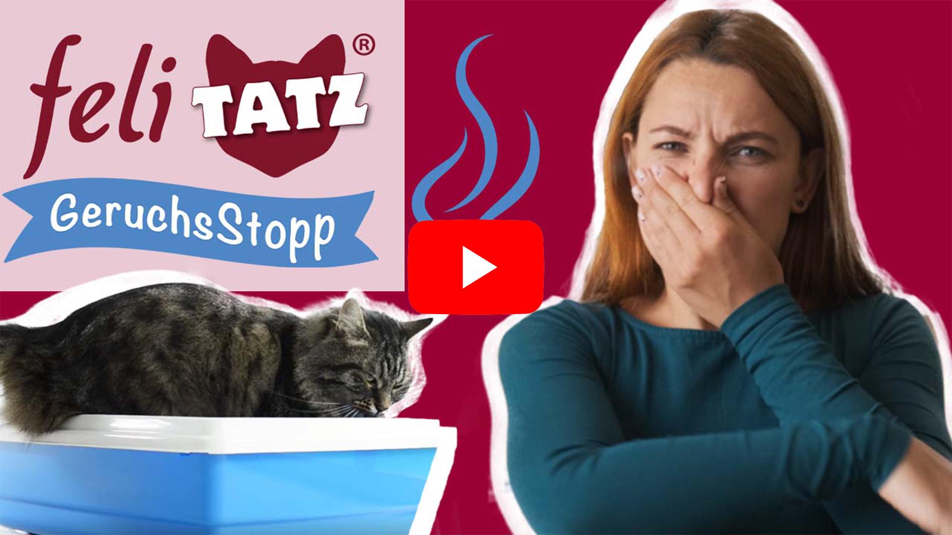 feliTATZ GeruchsStopp 100 ml