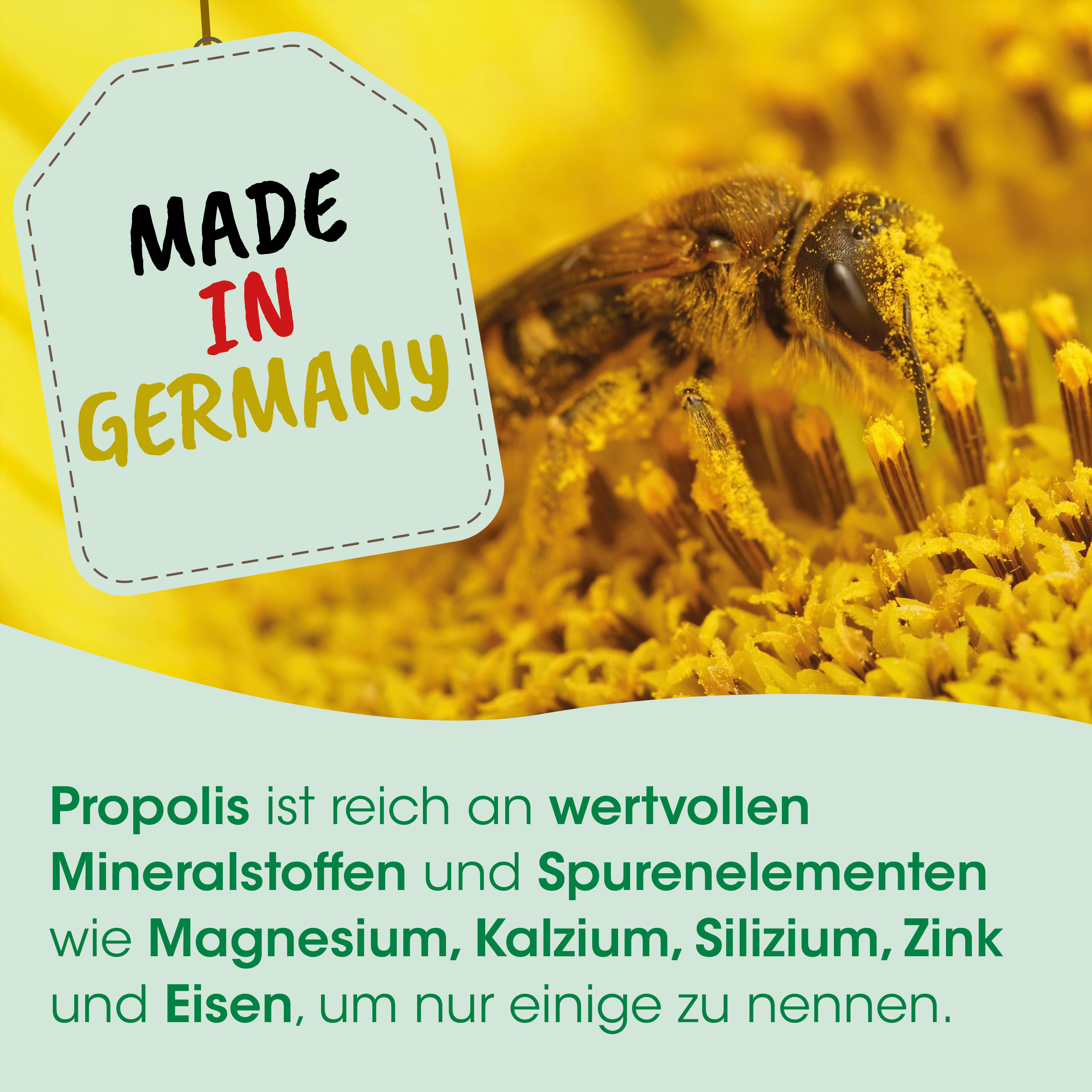 Biene, Honig, Blüte, Honigwabe, Made in Germany