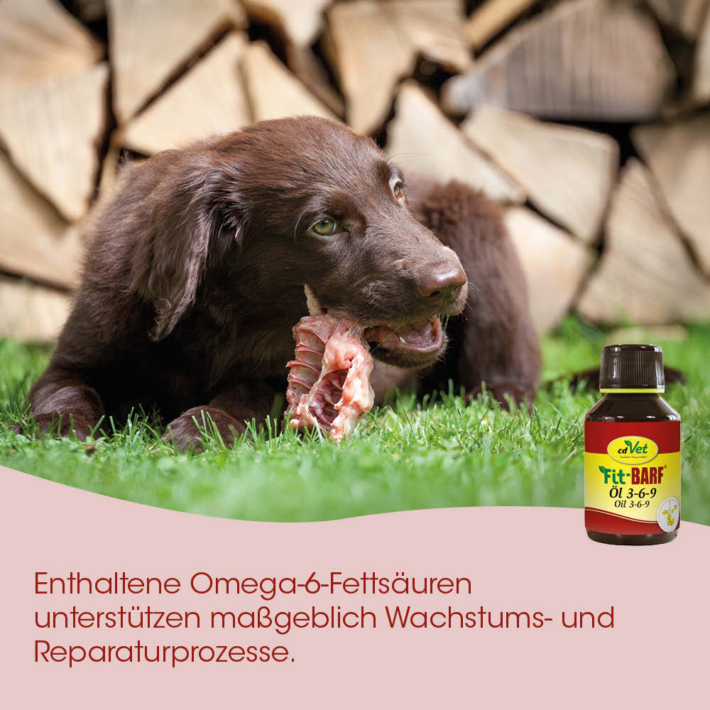 Hund, Knochen, Tiernahrung, Ölfläschchen, Omega-6-Fettsäuren