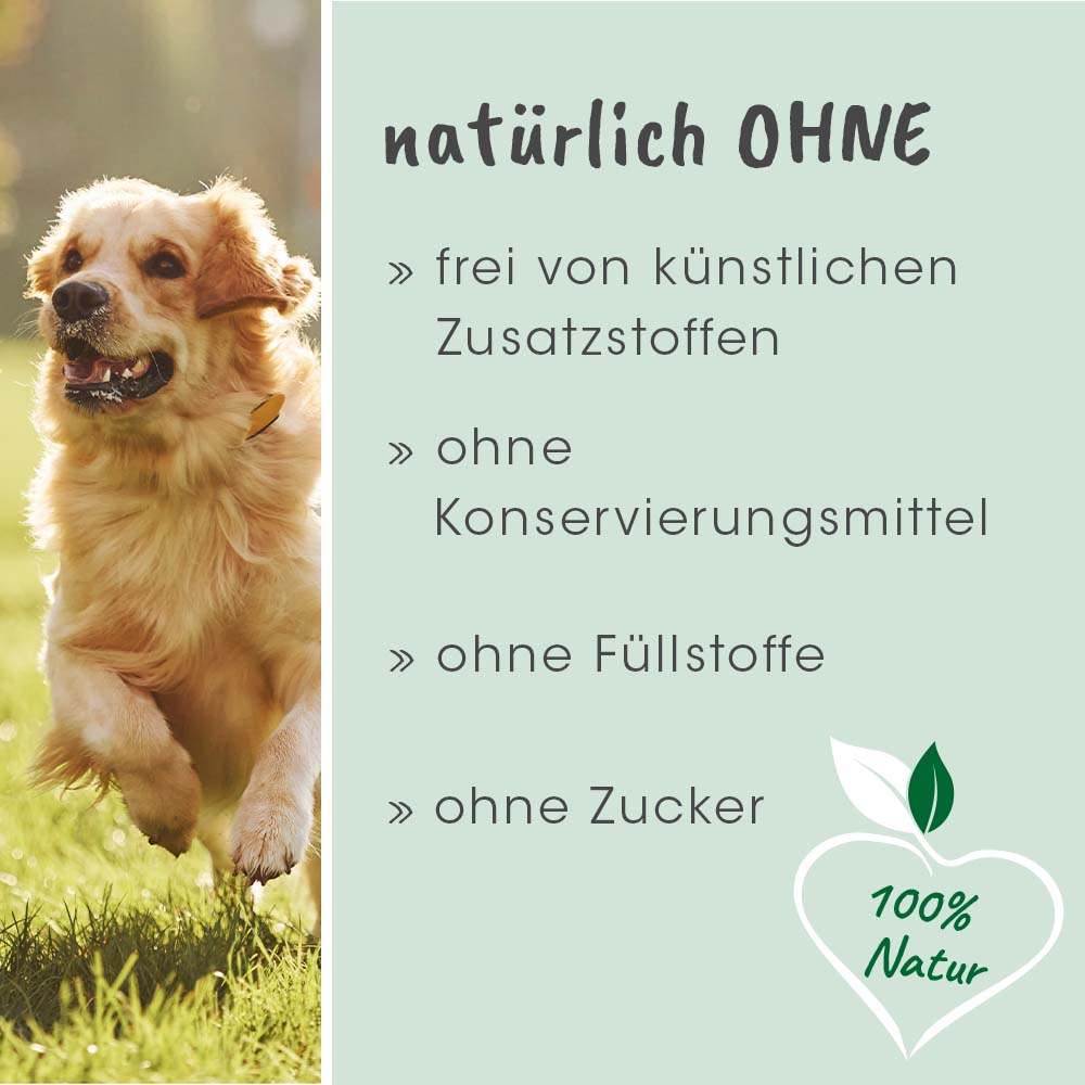 Protection Gastrique