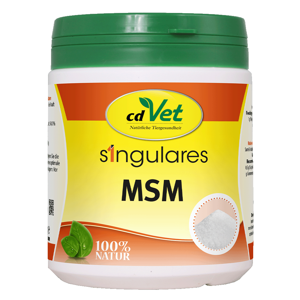 MSM-Pulver, Tierergänzung, weißes Pulver, Kunststoffdose, grüner Deckel