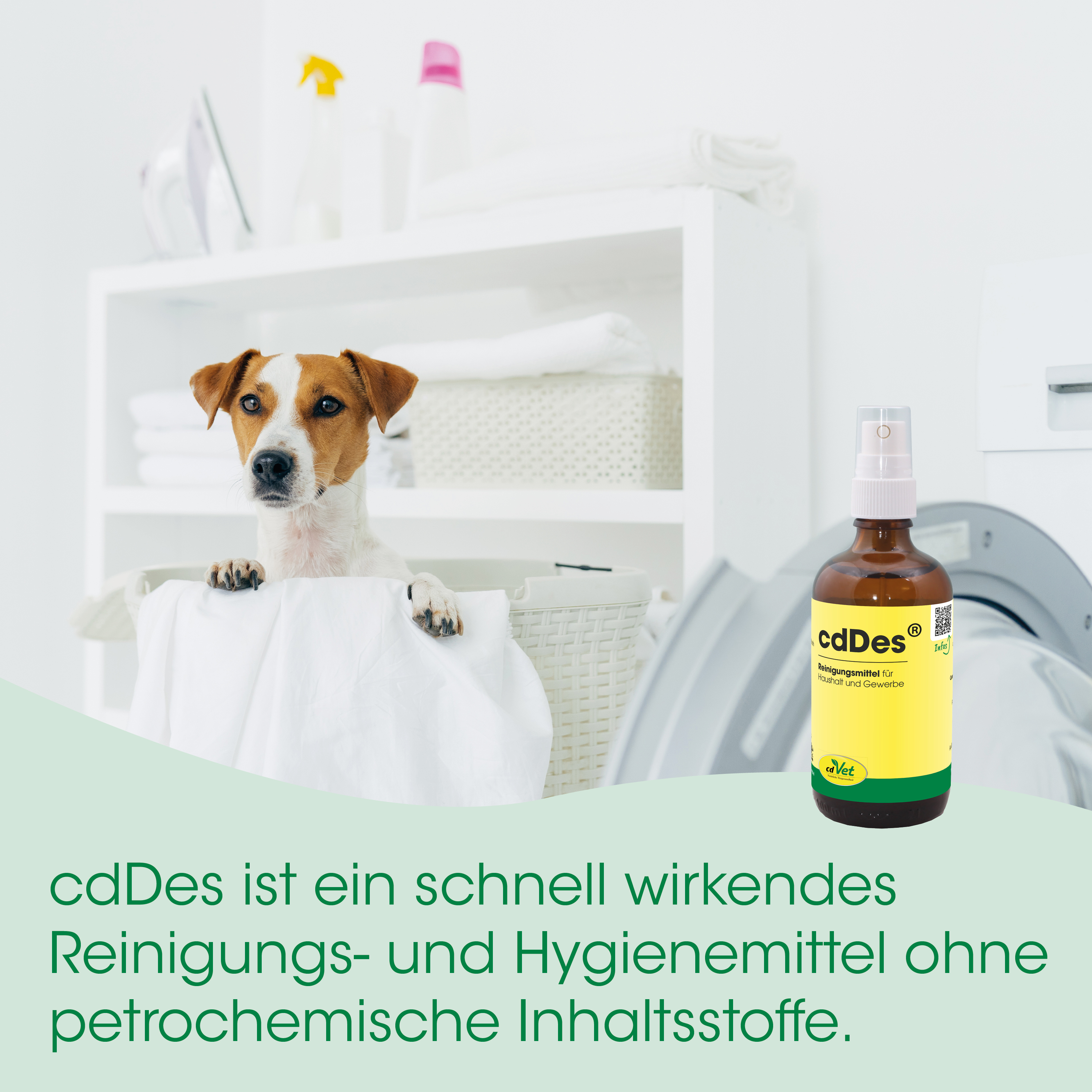Hund, Tier, Waschen, Wäsche, Sprayflasche