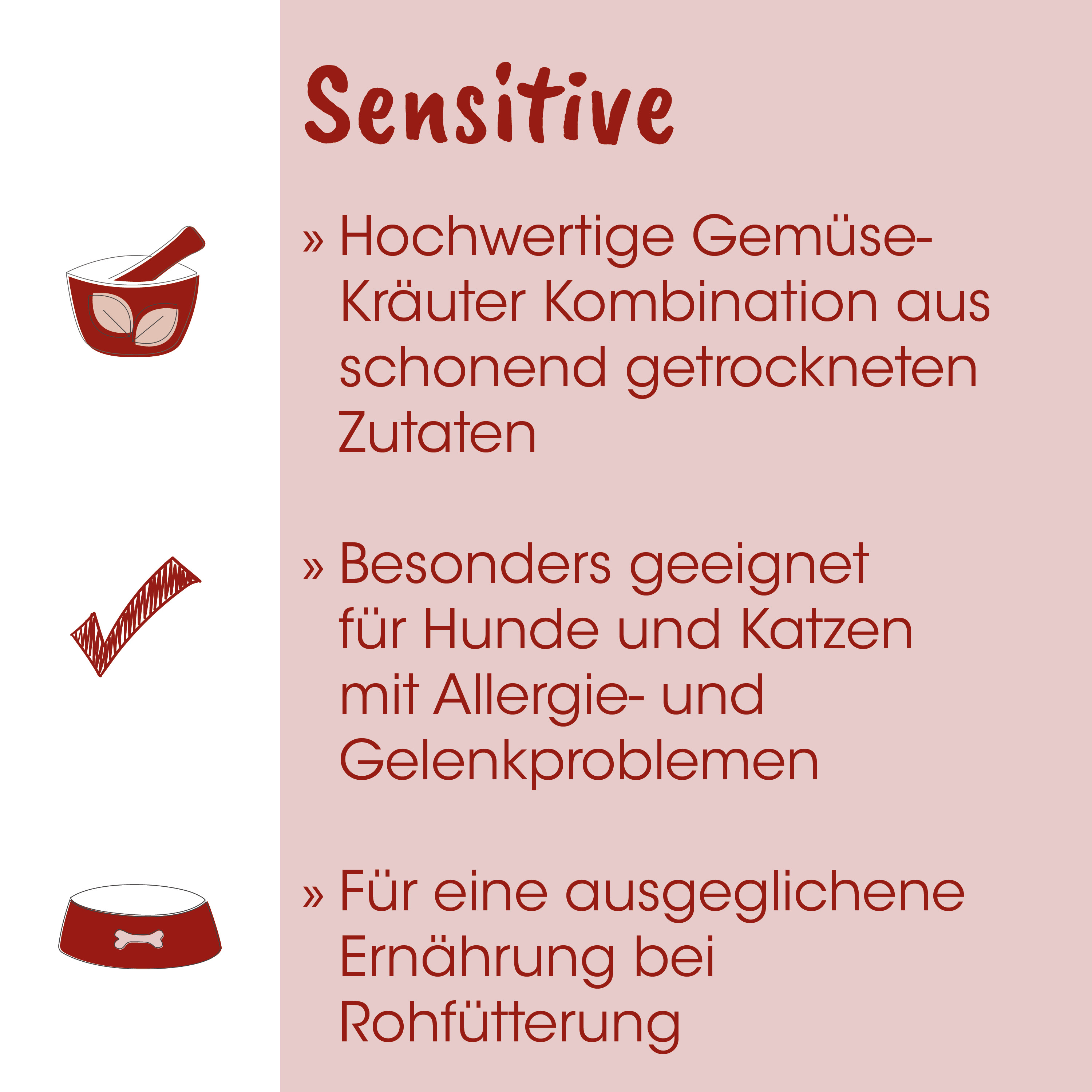 hundefutter, hunde-schale, knochen, futter-schüssel, tier-nahrung