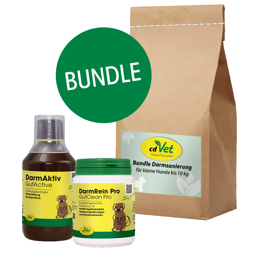 Essen, Würzen, Sirup, Kräuterig, Pflanze