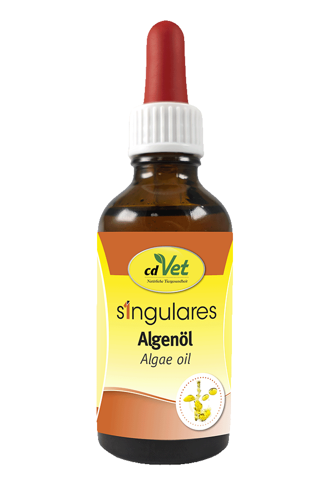 Algenöl, Öltropfer, Braune Flasche, Flüssigkeit, Algenetikette