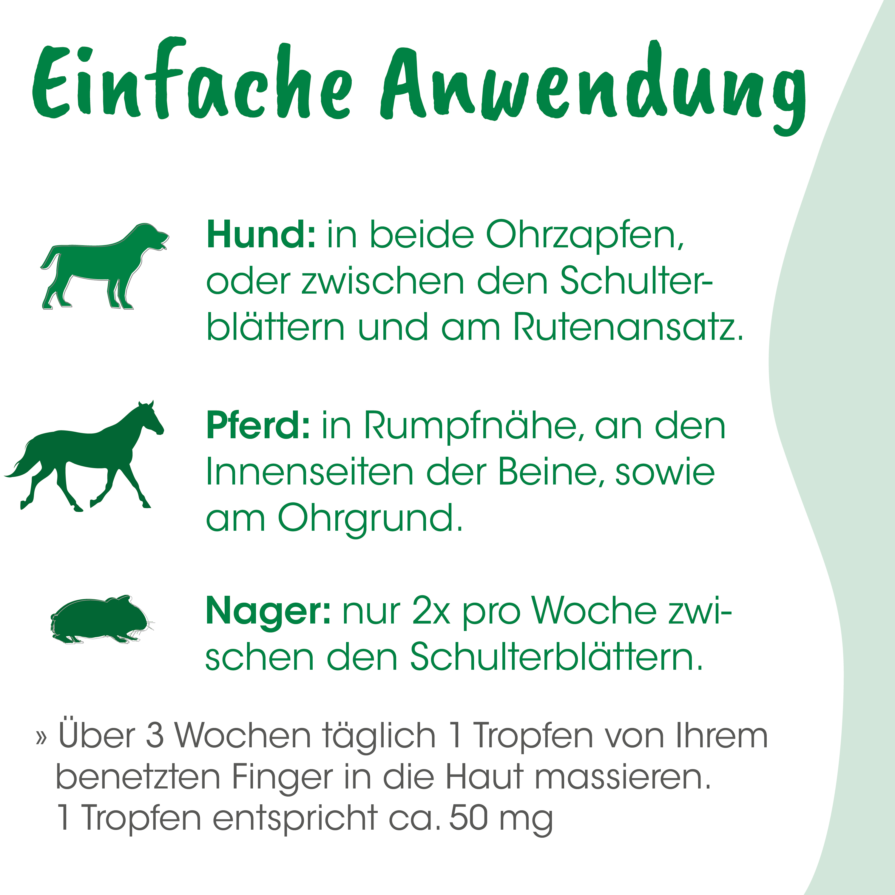 Hund, Pferd, Nager, Infografik, Tier