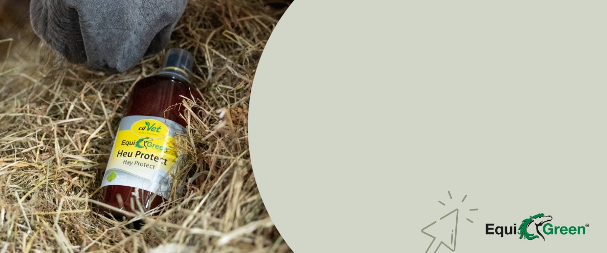 Würzen, Sirup, Flasche, Bier, Getränk