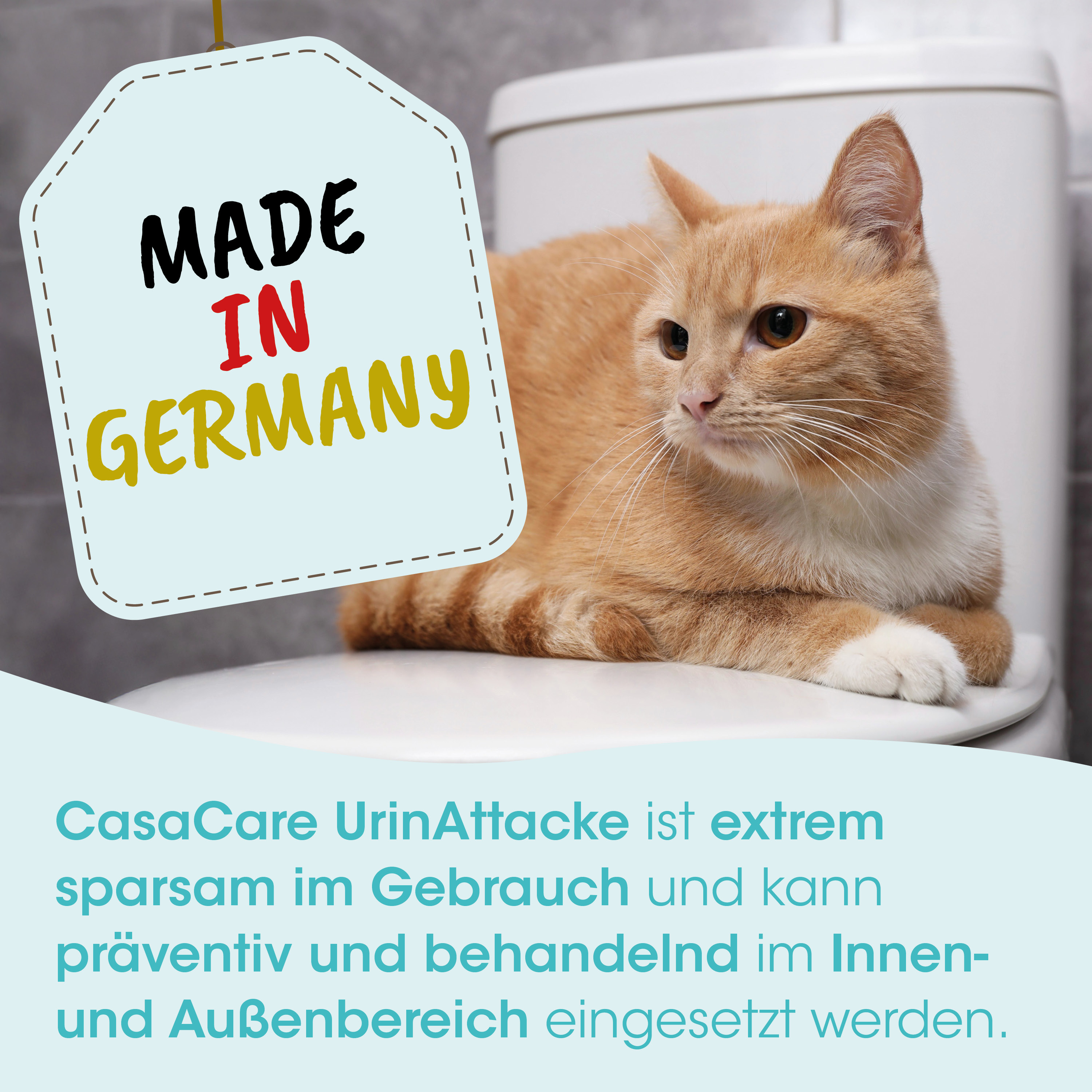 Katze, Orangene, Weiß, Toilette, Etikett