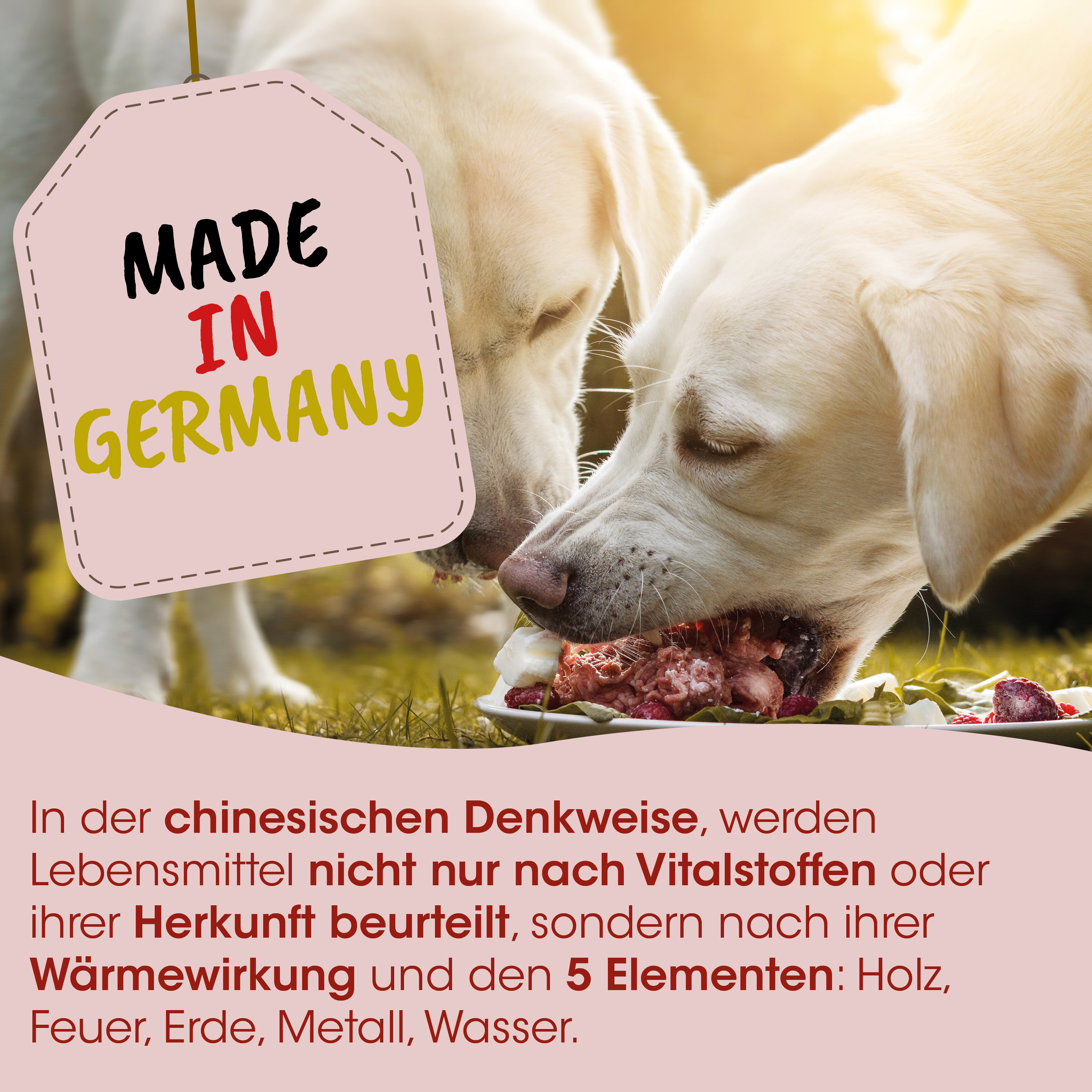 Hund, Hundefutter, Fleisch, Knochen, Gericht