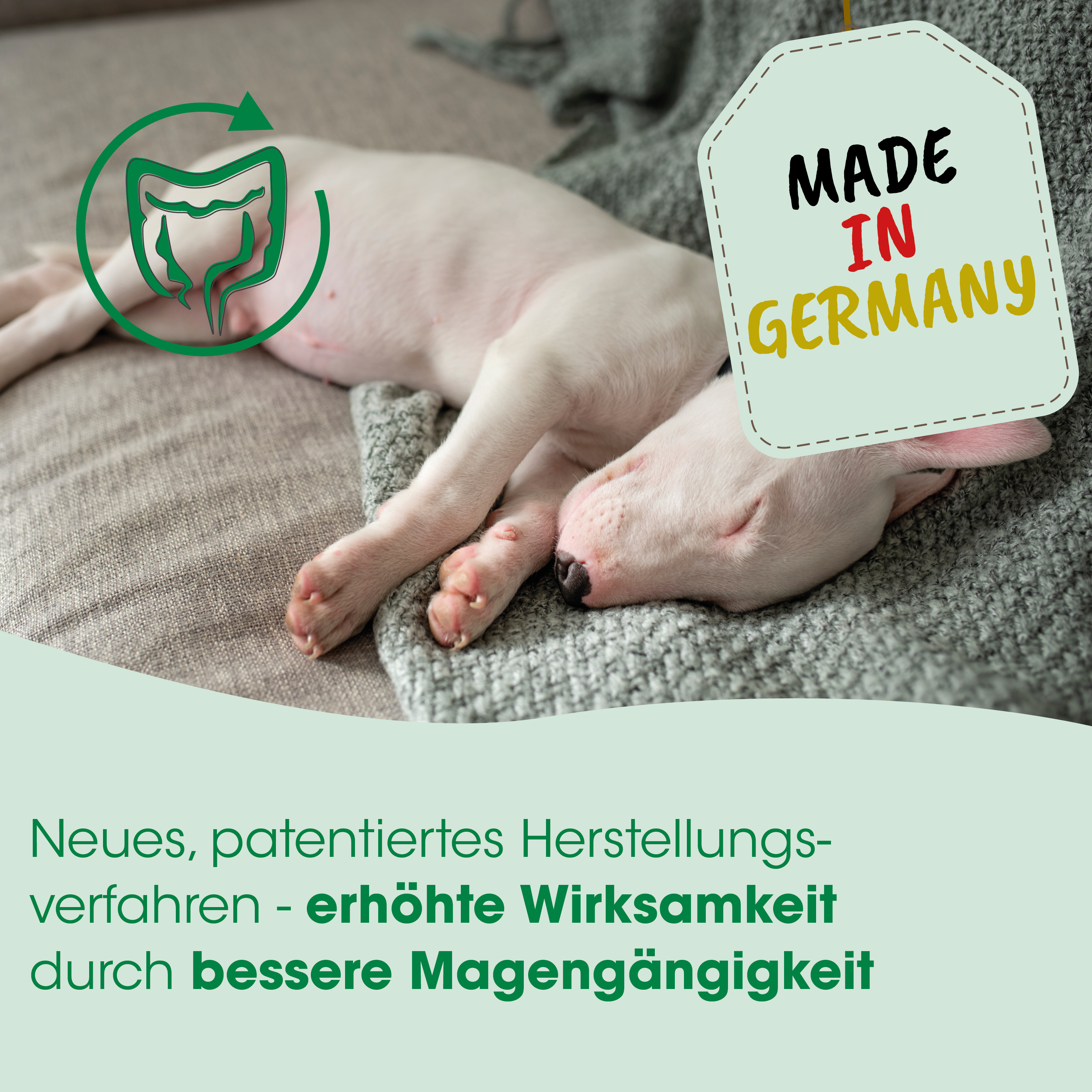 Hundeaufkleber, Made in Germany, Pflegehinweis, Haushund, Schutztextile
