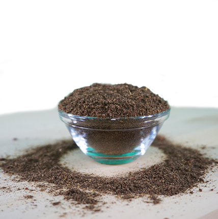 Protection Gastrique