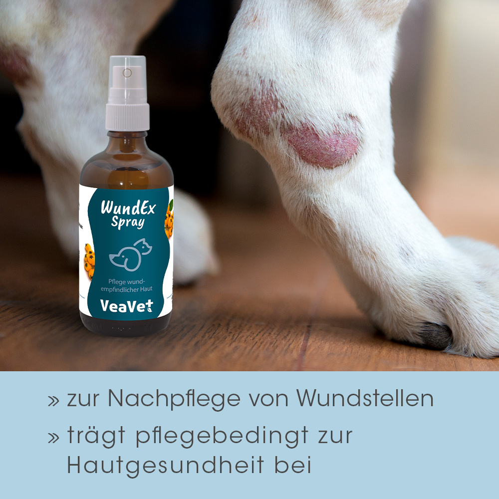 VeaVet PlaieEx Spray 100 ml