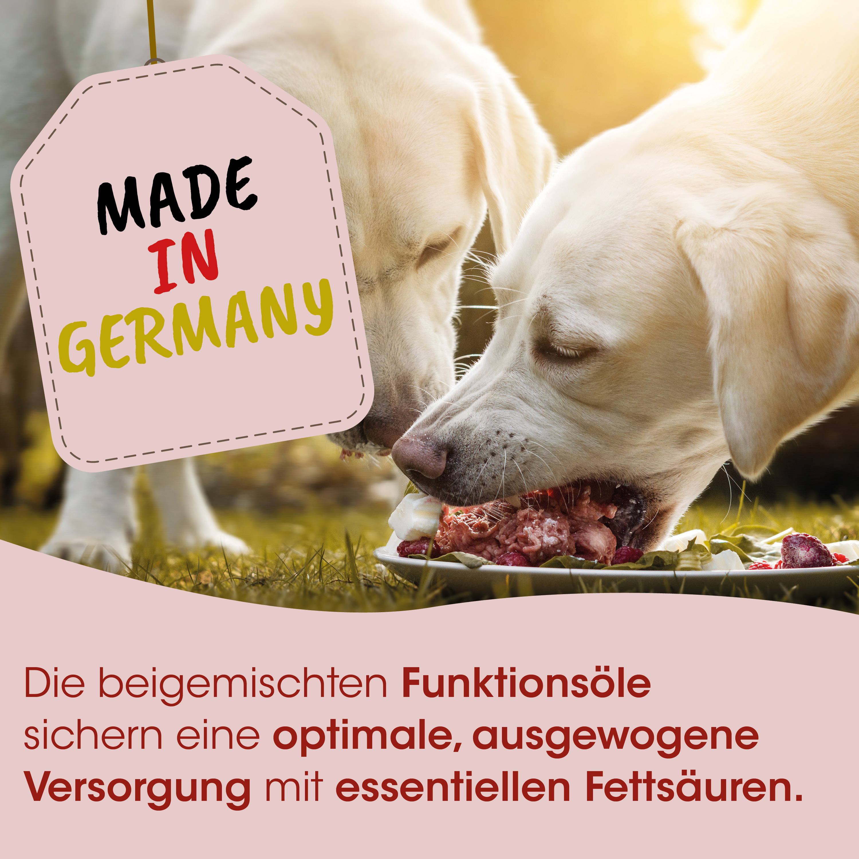 Hund, Hundefutter, Fleisch, Knochen, Tierpflege