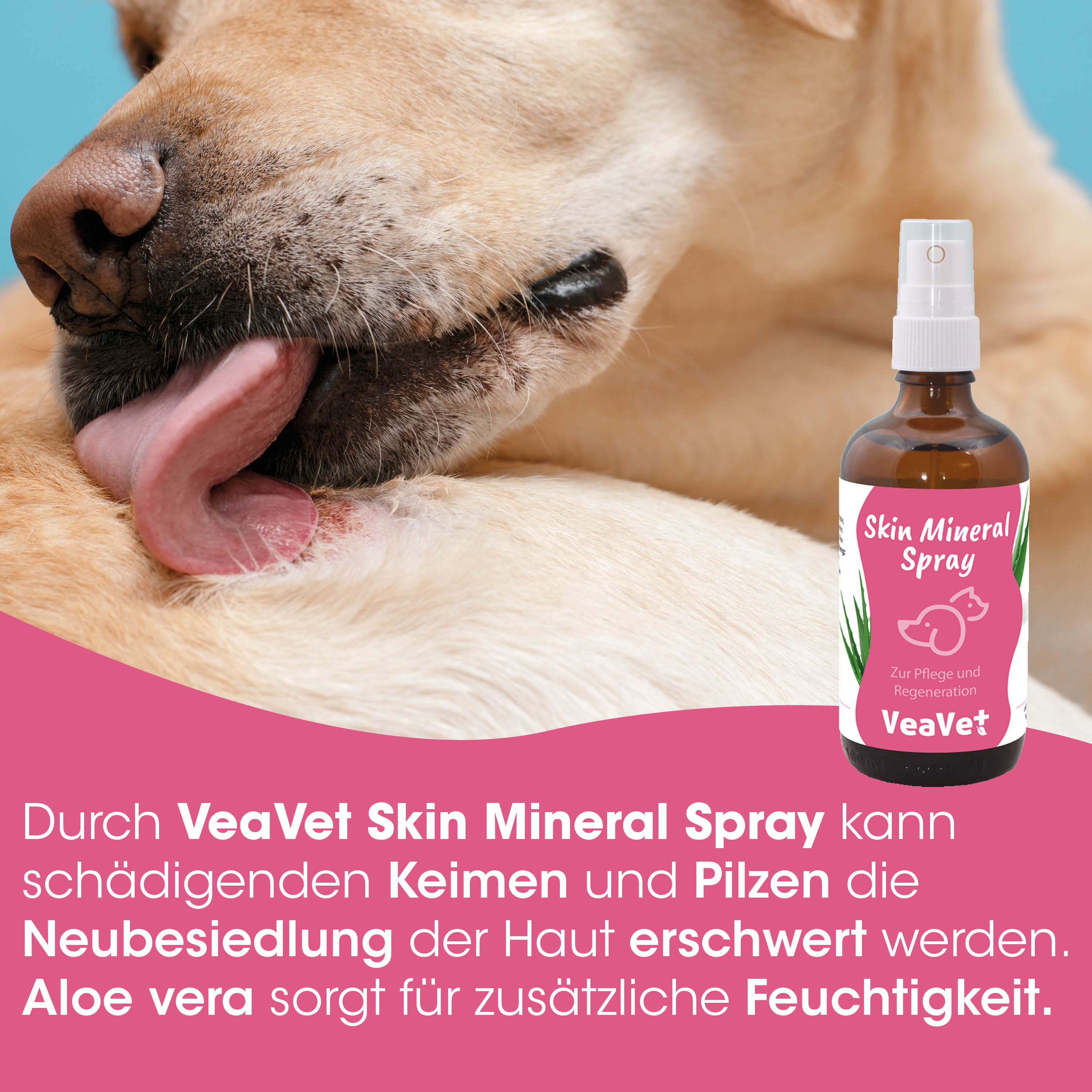 Hund, Skin Spray, Tierpflege, Sprühflasche, rosa Etikett