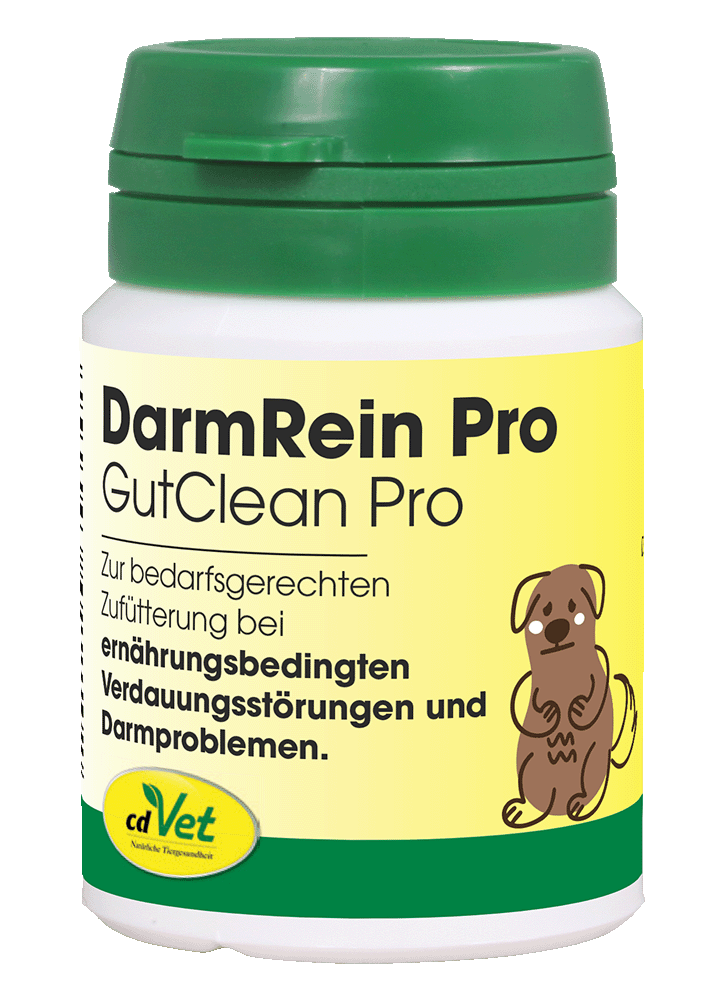 IntestinPur Pro Kräuterig, Kräuter, Pflanze