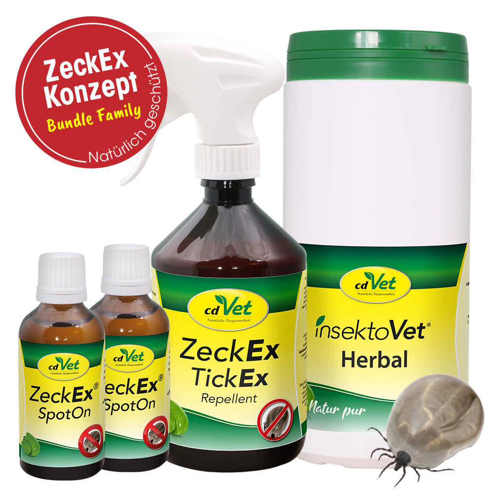 Bundle ZeckEx-Konzept Family Bundle ZeckEx-Konzept Family