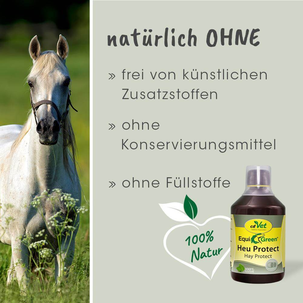 EquiGreen Foin Protect 2,5 L
