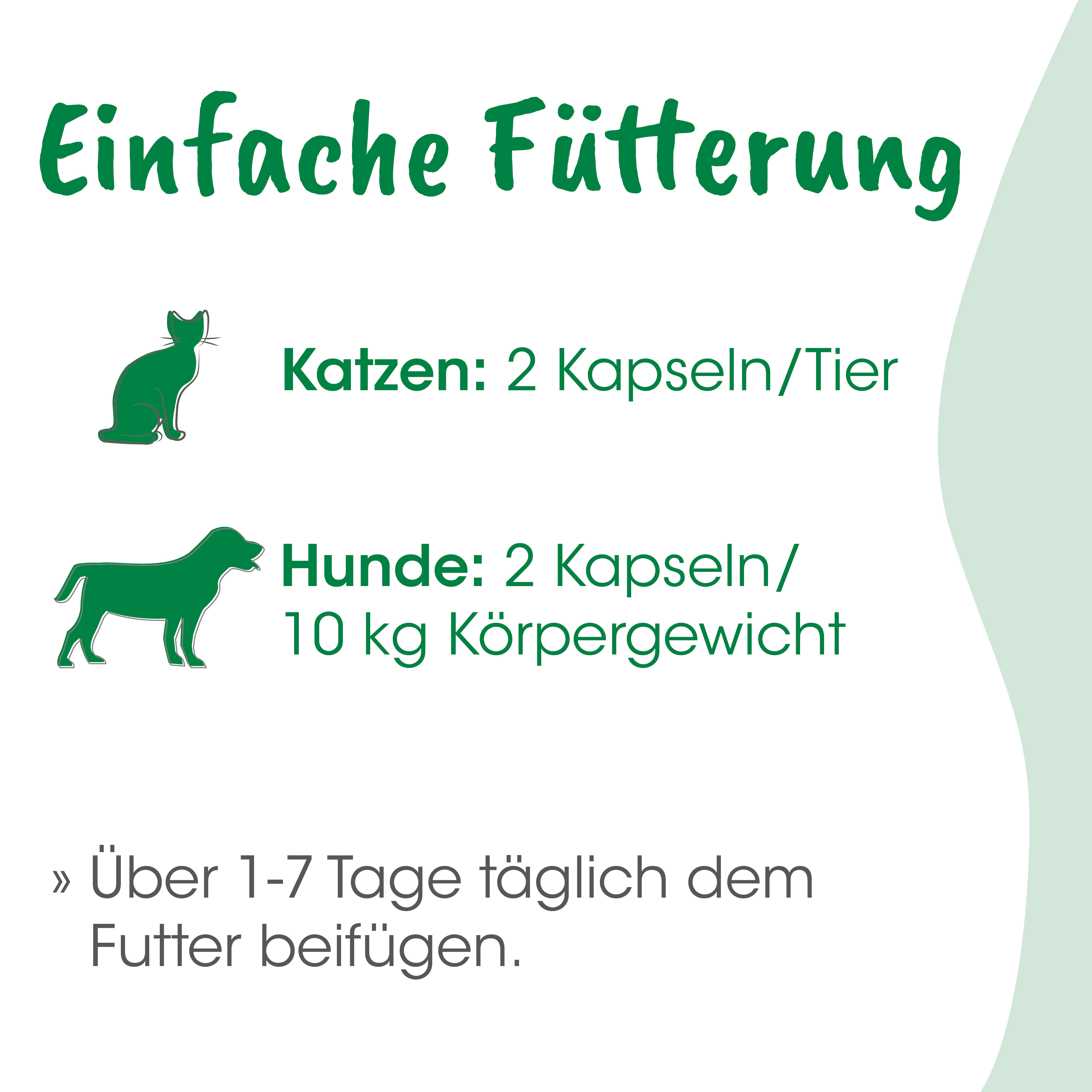 Katzenfutter, Katzenkapseln, Katzennahrung, Hunde-?, Tierfutter