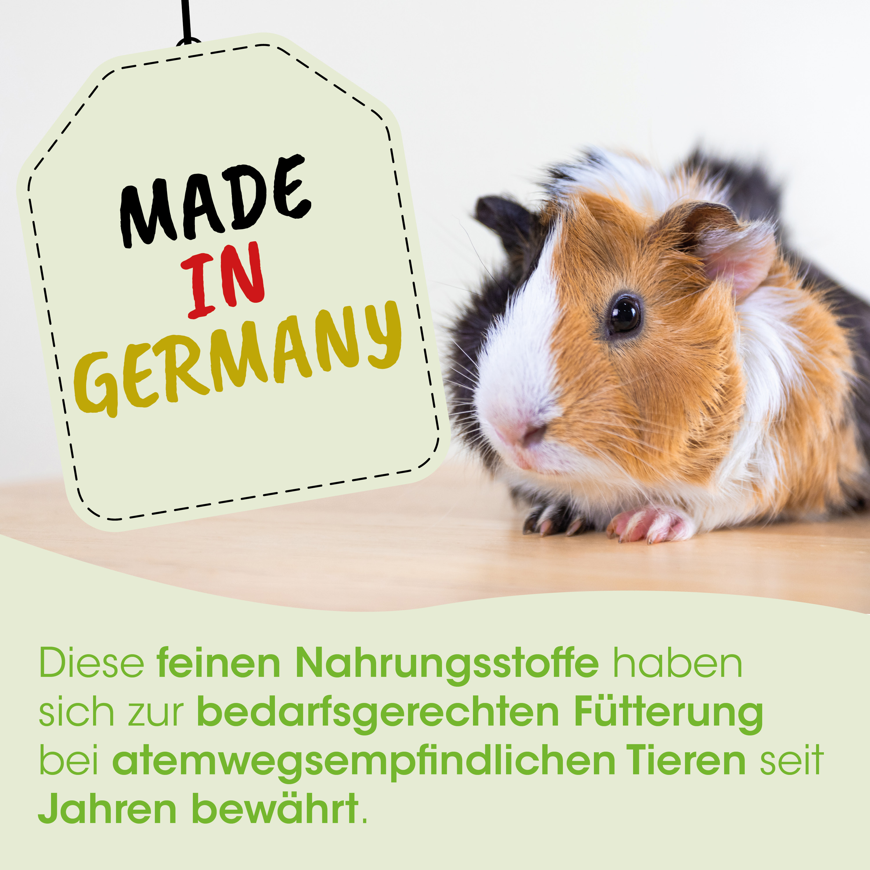 Kleintier, Käfigtier, Guinea-Pig, Nagetiere, Tierfutter